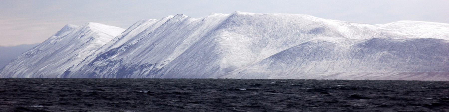 Wrangel Island