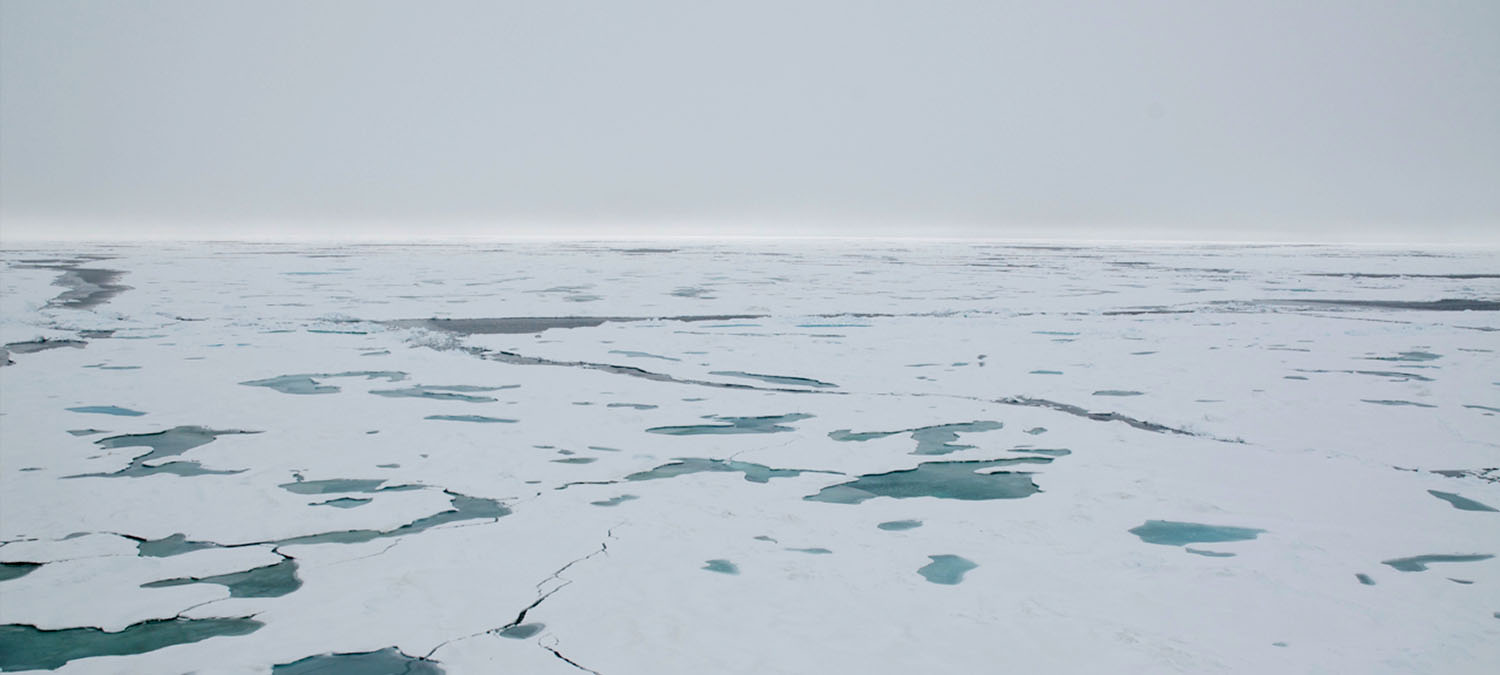 Arctic sea ice